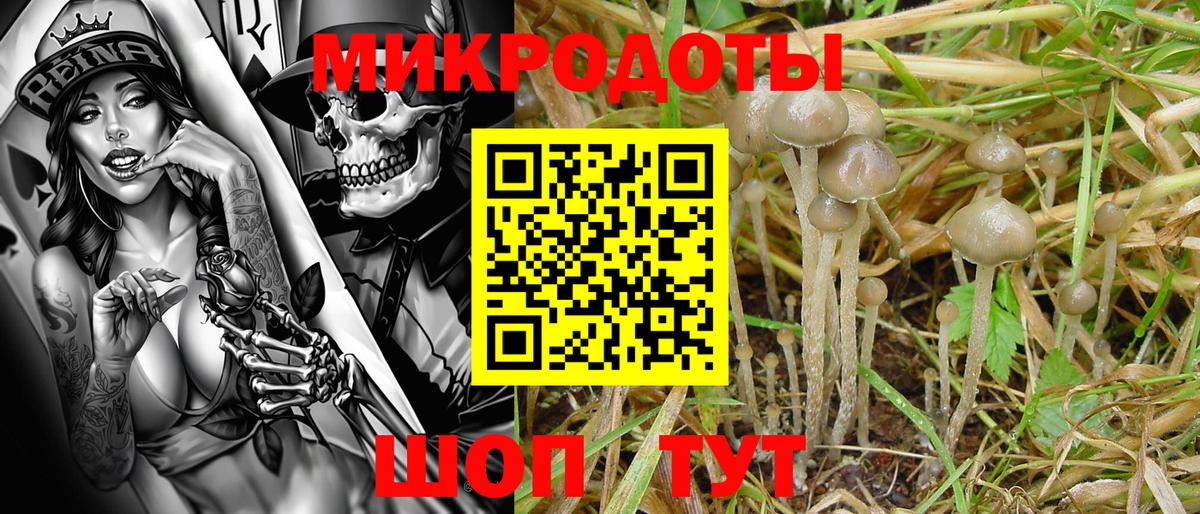 Псилоцибиновые грибы мицелий  Вход с VPN  Галлюциногенные грибы Magic Shrooms  Керчь 