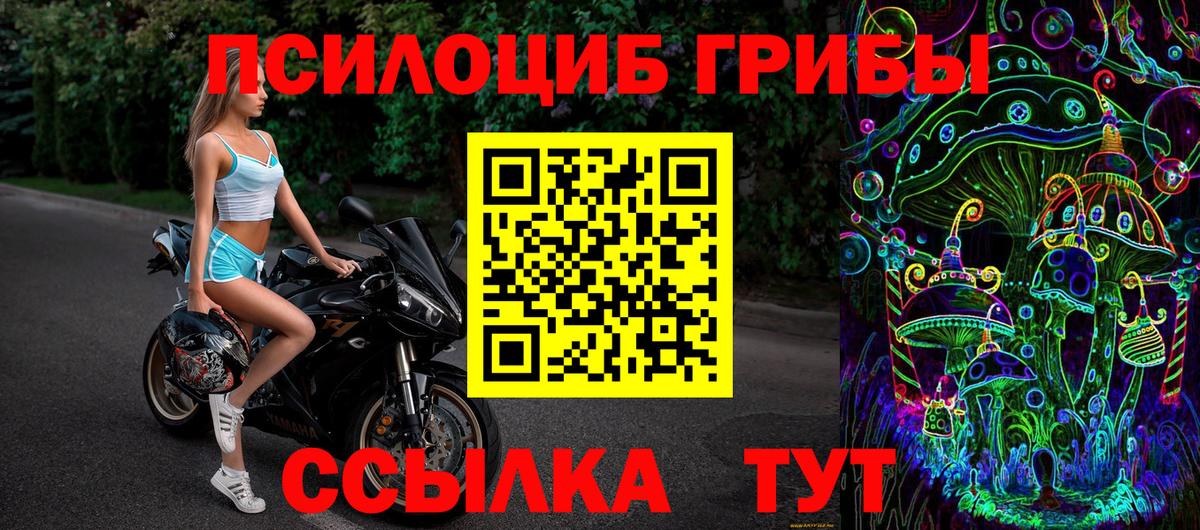 Псилоцибиновые грибы Cubensis Керчь